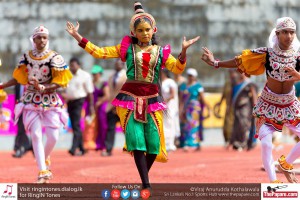 12068521_10154299770279251_1458180507773926118_o